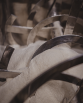 Which Collagens Is Right For You?