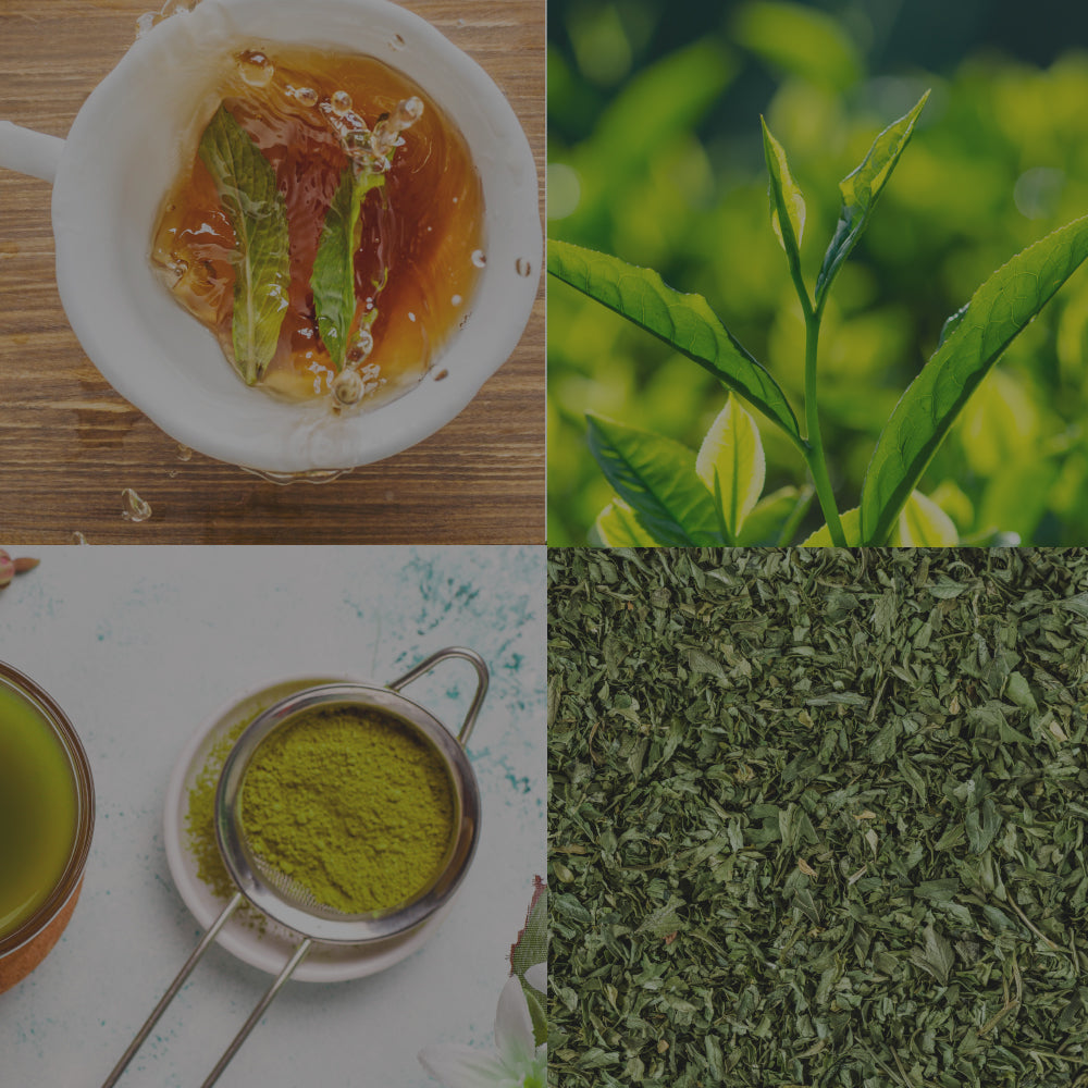 Get To Know Green Tea And It's Price