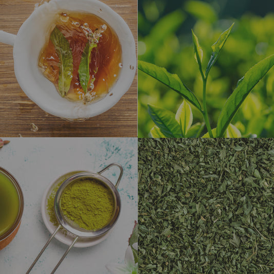 Get To Know Green Tea